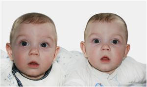 Identical twins casting call