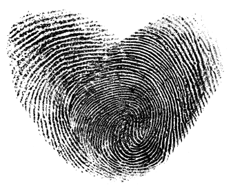 Identical Twins Fingerprints