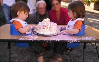 twin baby high chairs