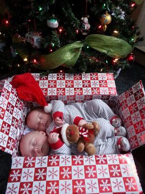 Photo of Carter and Brody 4 months old