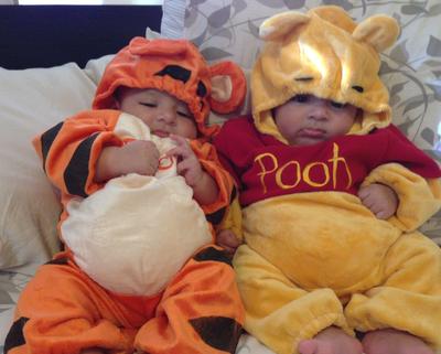 Best Friends Tigger & Pooh 