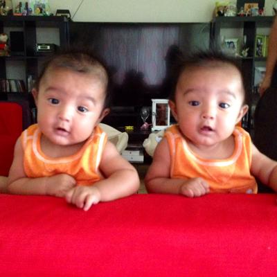My Little Twinkies