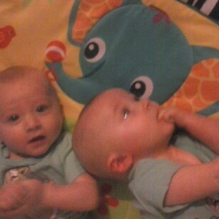 The handsome twin brothers playing on their activity gym