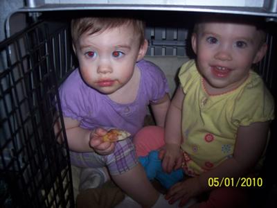 addison and ashlyn playing with the dogs