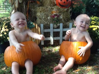 The Cutest Pumpkins in the Patch