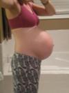 33 weeks