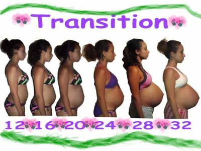 Twin Belly Transition 