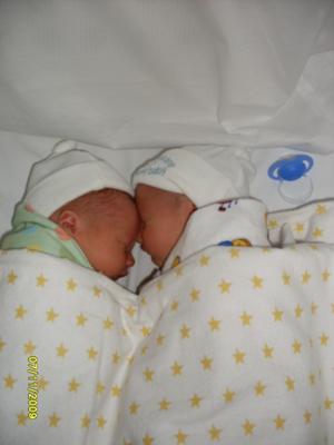 Tristan & Sebastian only 2 days old***